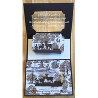 Thumb c4ae75dc 2c59 4a70 93bb d03f2ddbe6c8