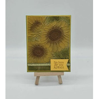 Thumb 348e00d3 9f5c 47c6 9270 7981c44bc230