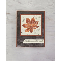 Thumb 5ef9f0e5 99d6 42be 860a 103e0bf71165