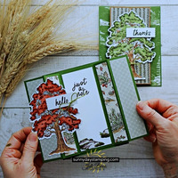 Thumb 8d0d0e3c 0259 4e0d a1cb 6a5c2bceaf13