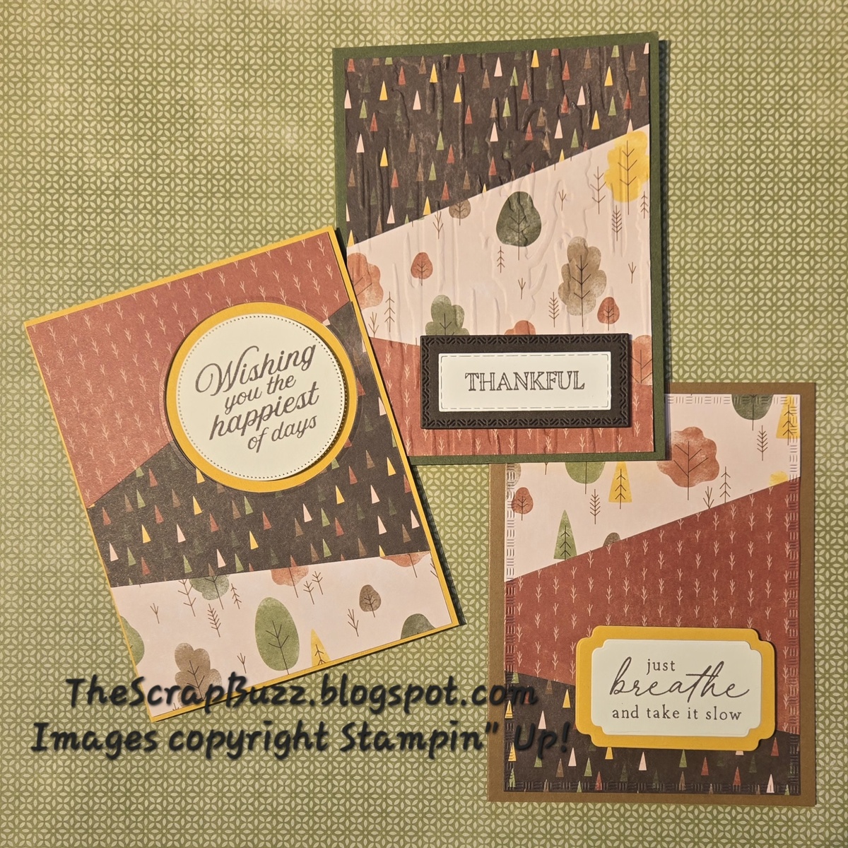 Large 529fc040 5d7a 4845 b4cb 2a4a759a066d