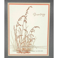 Thumb 0ea0ea2e 44f2 4077 a15d a782b86668b0