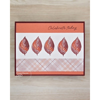 Thumb c9fd9848 c7aa 4526 9b72 ef2910e529b2