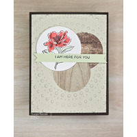 Thumb 9c1d013c d6dc 4207 9cf3 030afafe4672