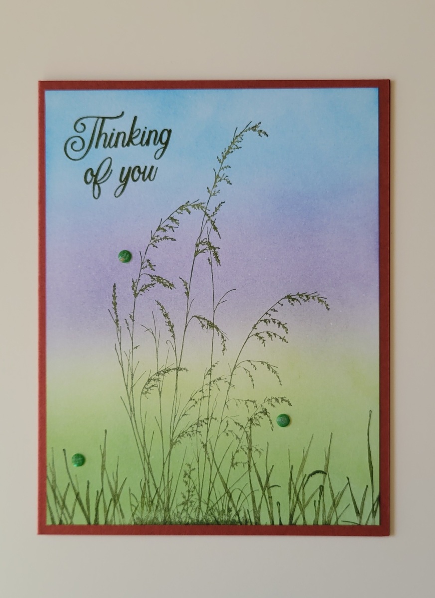 Large b39c28b8 c981 4446 a06f 08f4194b1fe8