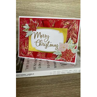 Thumb d724cda3 9c41 4b2e aa05 21c7a3d9660b