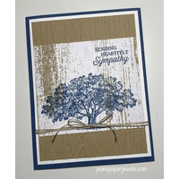 Thumb 51c049cc 7cf7 4abc a037 06d211853e81