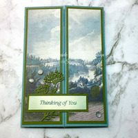 Thumb 37e47cdf 7dfb 4d82 8c80 d230708fe9ed