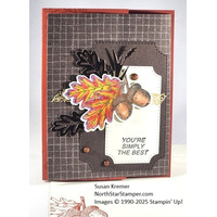 Thumb ae714391 9ed2 48b4 a9ef 8433178fc8f8