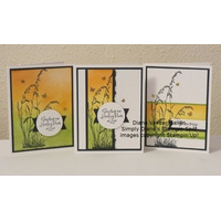 Thumb 97b7f14d bec1 4e3b b56c baa515189825