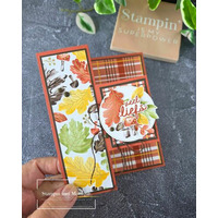 Thumb bb86c6c8 cd26 4294 88b3 e80d630e201d