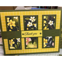 Thumb 6bc675c8 a1b8 4900 a981 529ca7233e8b