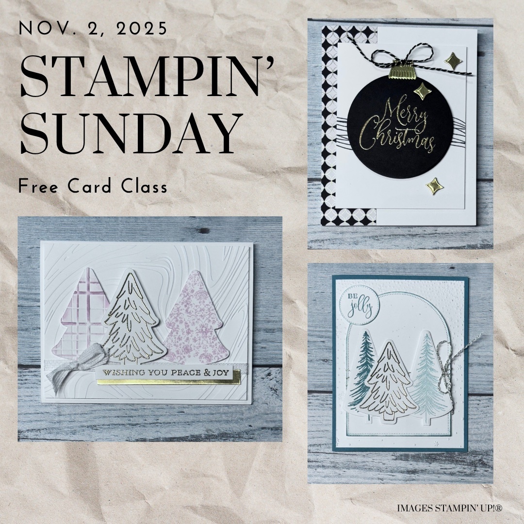 Large 33f26cd0 55a3 4b09 9b77 48829a35cf8d