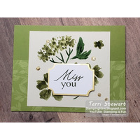 Thumb 873f1d55 e473 4da4 aa38 1bb53271aee4