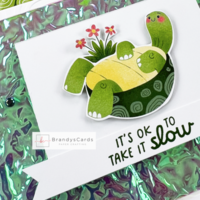 Thumb c5fcfd36 56a1 4b46 ad98 9207cb0c6cc6