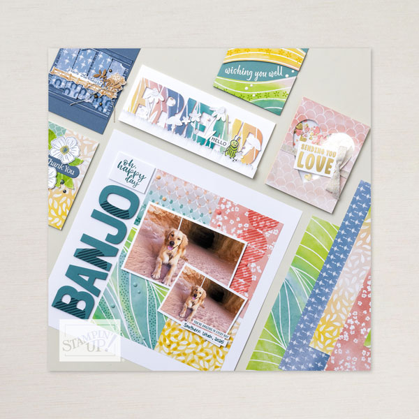 42e3c2f2 f4e9 43a4 8d9a 2965559acfc1