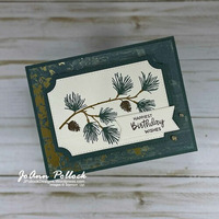 Thumb 50dba084 4727 4042 896d e9ed87fc5278