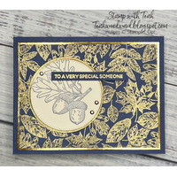 Thumb accadd94 7d29 401b a2ad a5541a025c20