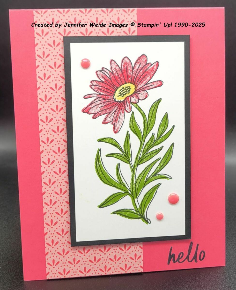 Large de0e5489 70b6 4ae3 a55c 6a9a1da01347