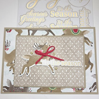 Thumb b307266e 9af2 4960 b23e 7de4001c87d5