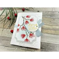 Thumb 9bb9af85 5b49 427a bb30 5ab508295bff