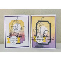 Thumb a04efede aa05 4f0b 9809 21425c50ee9f