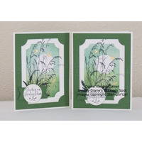 Thumb 02d83fc1 6e96 4070 853c 0bd765d0ea52