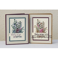 Thumb 55c67987 9e33 40e0 b148 2ca1bc7f57dd