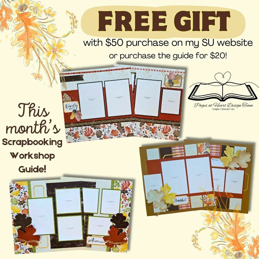 Large 4191fa1f 6f88 4c29 82cd 1378829dd981