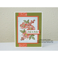 Thumb 20658a66 c5f2 49ee bfaa e5650d9c07e6