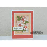 Thumb 0e79fbb6 9bec 4543 a97b ada458d0d8a7