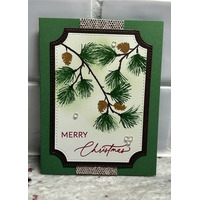 Thumb 762dfc0c 3be5 4aa5 b562 774dcb0e9205