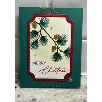 Thumb 4115d8c9 e05e 4db8 b36c 5b469588fbaf