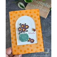 Thumb e2238e46 4994 41fb 9858 106823facf88