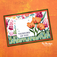 Thumb 5be2f923 d6ea 4e54 ab44 0e888d29f0ea