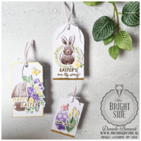 Thumb 91f39021 e41a 4f25 a049 87eabb9fe307