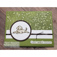 Thumb c5077577 53ca 4084 b153 017ecabb1043