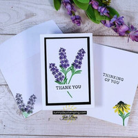 Thumb e7d12700 fe04 4b2a bc26 114c24f5ee03