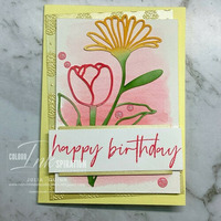 Thumb 0ddd06da 0f7d 4a5d b13e a6800b8e49c4