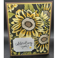 Thumb a9542bfe 7aa3 470d ab47 5edfc7965356