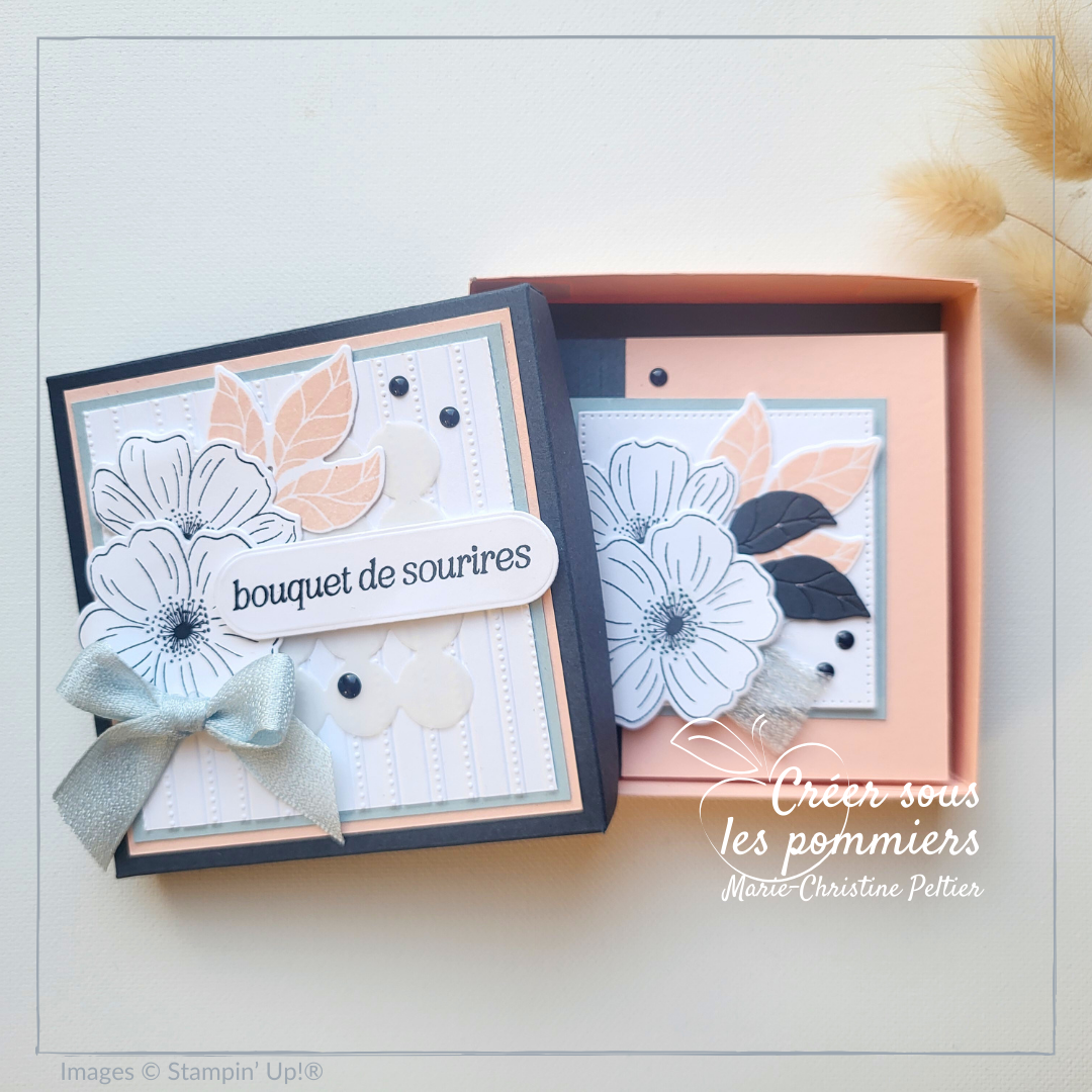 Large 621f7806 c0aa 47dd a4db 9acde3a762a0