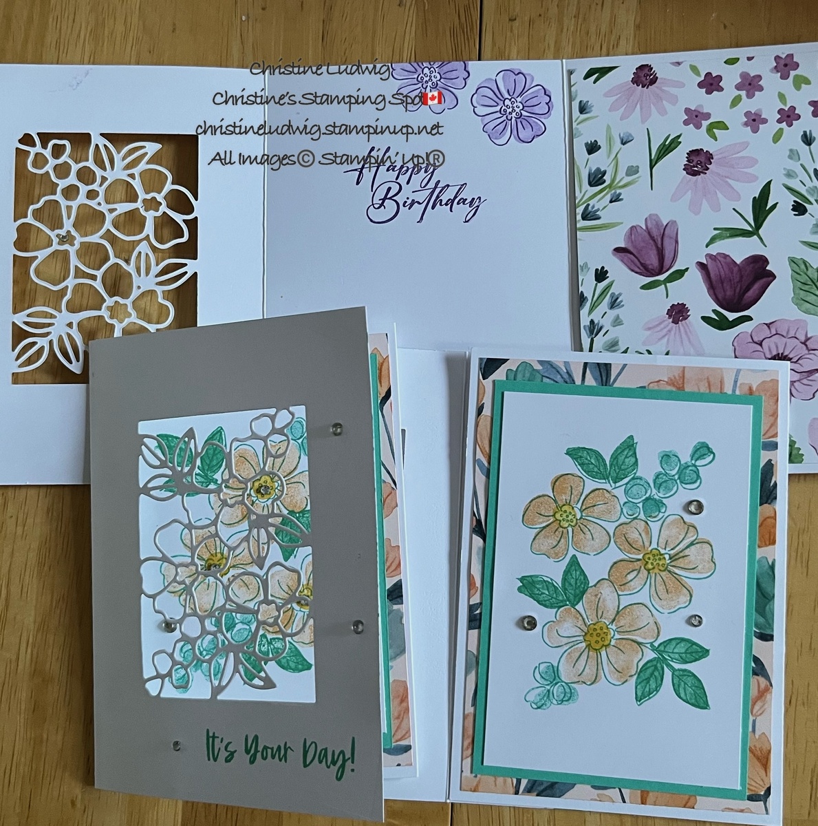 Large 4275d602 e089 47b2 a54f c81fa6362ffb