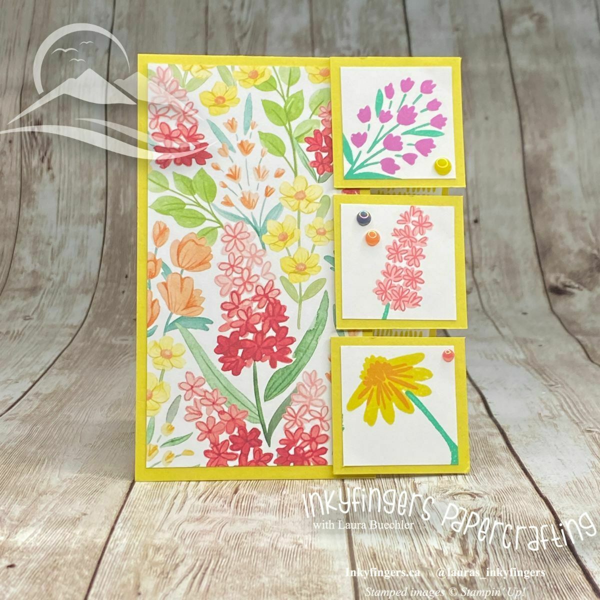 Large 57e13070 322b 4811 9ae7 6d24b520e709