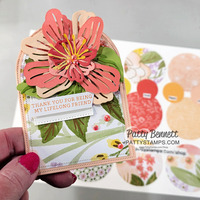 Thumb e1b70881 7b14 43cd 842d eeeb4777d3d6