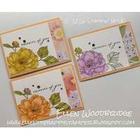 Thumb 36ddc317 dfc8 4951 8055 c04709937a15