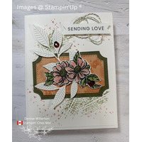 Thumb 9a073ace 409b 48fb 8506 56c922c43b0e