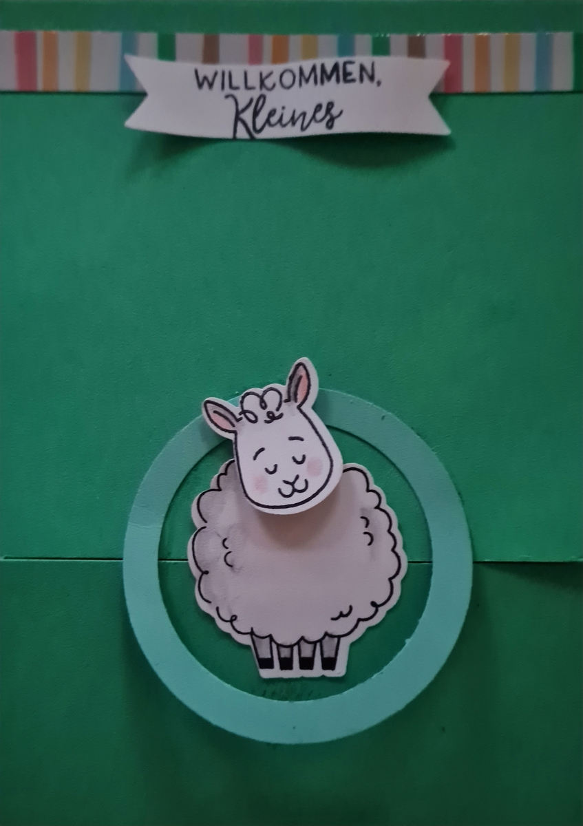 Large 6c228fc7 86a3 433a bf5f 6efe173fa156