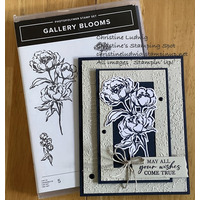 Thumb 0b027ecb 4902 41ba 8247 cc29a174c592