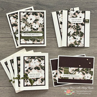 Thumb 97b562fd 807a 4df1 b7ba e4b11b92207c