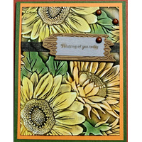 Thumb 54144d5f 2e67 4567 b1dd 6690d9353dbd